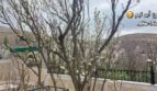 شريط التمرير