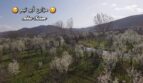 شريط التمرير