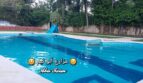 شريط التمرير