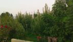 شريط التمرير