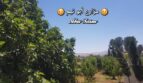 شريط التمرير